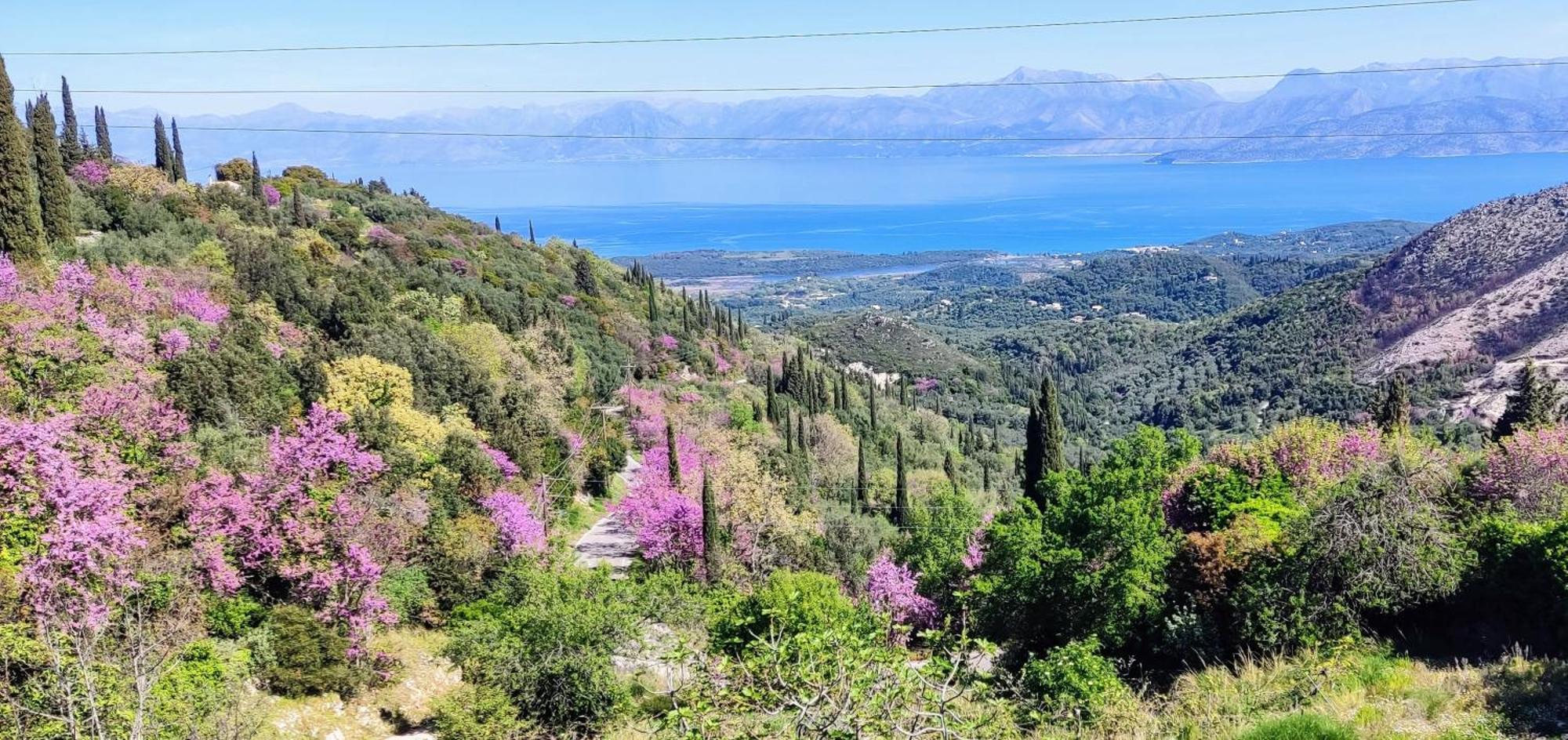 Castello Di Lafki Apartman Corfu  Kültér fotó