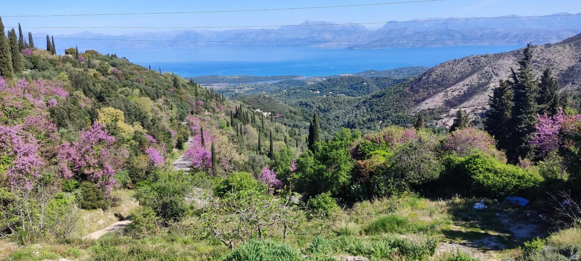 Castello Di Lafki Apartman Corfu  Kültér fotó